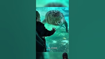 Thumbnail of wait for 👽 #animals #dinosaur #prehistoric #memes #crocodile #anime #phonk #music #bass #edit