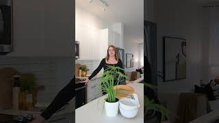 RARE 4 Car Parking in Clayton! | Property Tour: 1108 18505 Laurensen Pl, Cloverdale