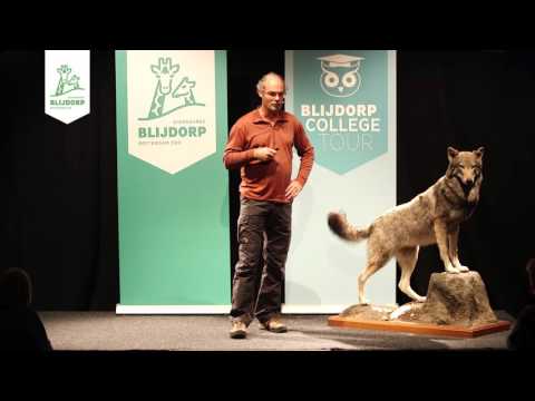 Samenvatting Blijdorp College 'De wolf in het wild'