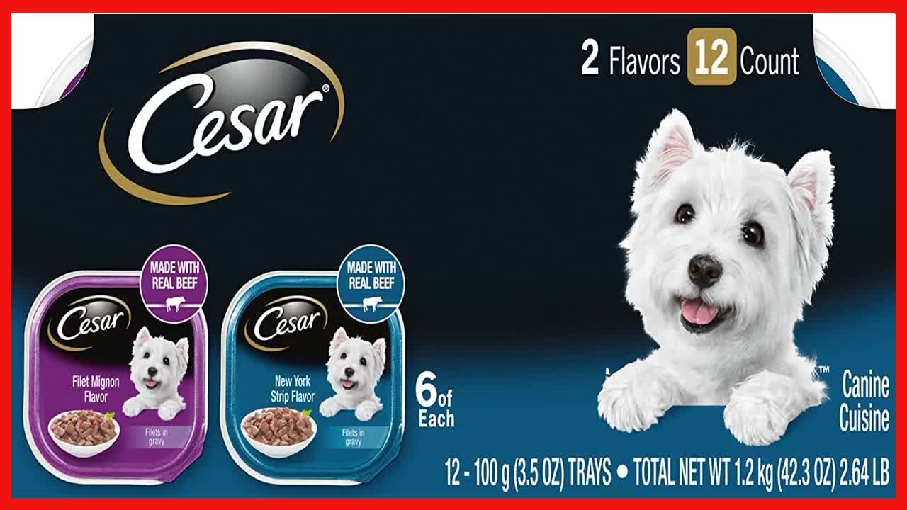 CESAR Adult Soft Wet Dog Food Filets in Gravy Variety Pack, Filet Mignon and New York Strip Flavors