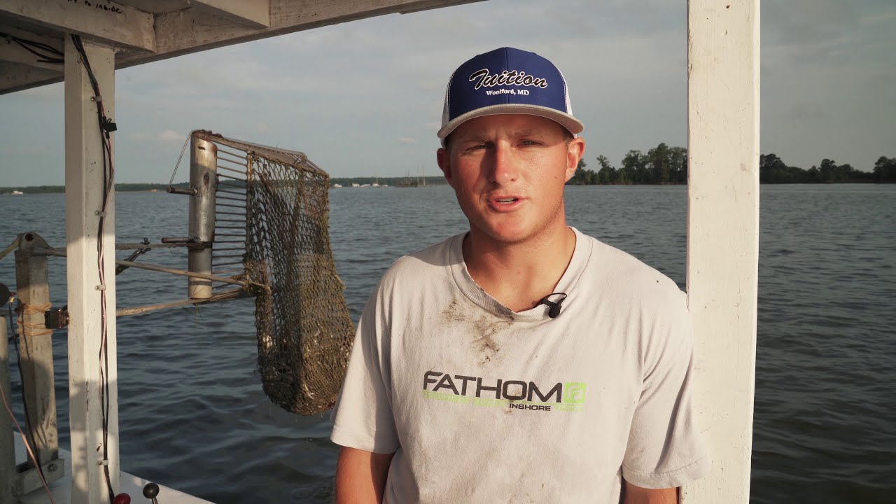Crab Harvest on the Chesapeake Bay