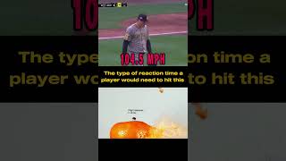 Reaction time of a fly to hit that bro #mlb #shorts #baseball #speed #fyp #unbelievable