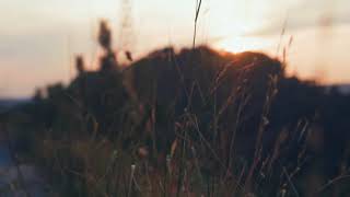 Mariano Natale- Camino (Alquimia I- 2021)