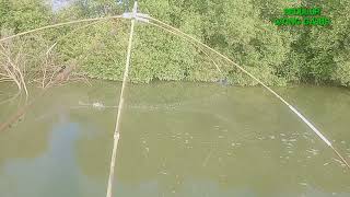 Download Lagu nganco dikali geroyok MP3