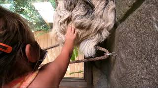 Wildlife Learning Center 2021