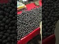 Jamun #neredu #jaamun #trending #viralvideo
