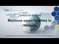 Invest in malawi  doing business in malawi  get malawi business opportunities