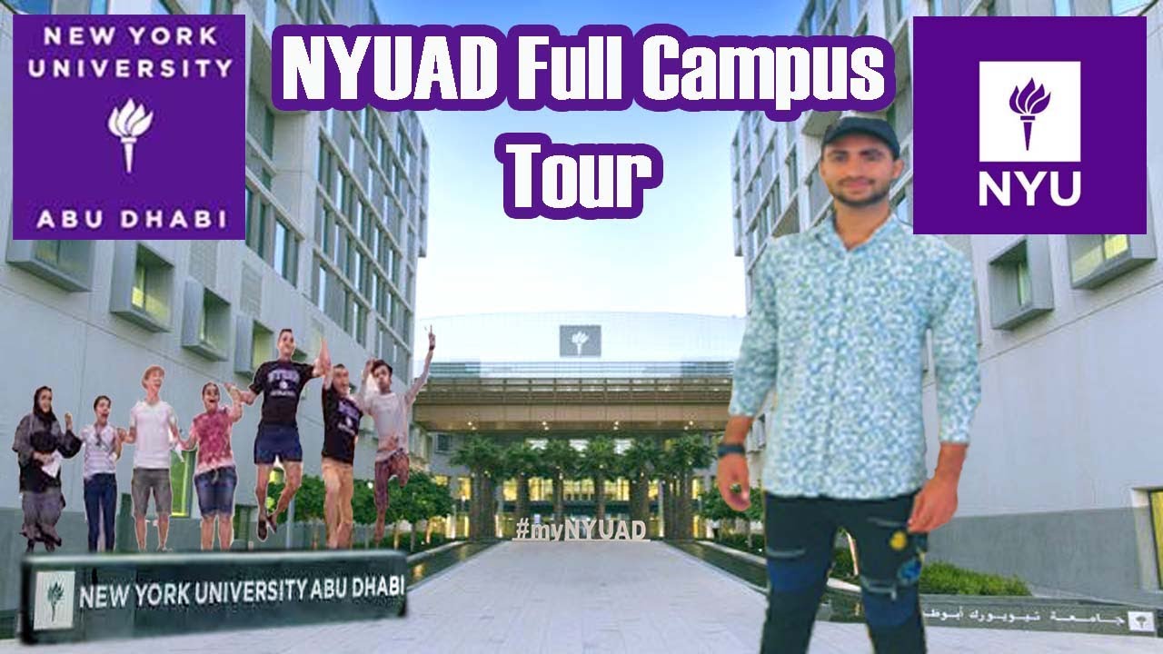 New York University Sweatshirt - Offiziell Lizenziert Von PARK FIELDS