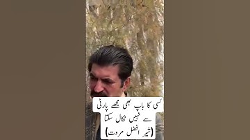 Sher Afzal Marwat latest statement about PTI & Imran Khan #pakistan #trending #imrankhan #pti #viral