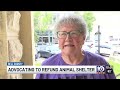 More than 600 animals euthanized at Bell County Animal Shelter