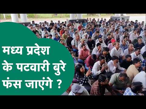 मध्य प्रदेश के पटवारियों को किस बात का डर सता रहा ? जानिए इस रिपोर्ट में ? MP Tak