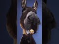 نـضراتــك تـحــرجــنــي