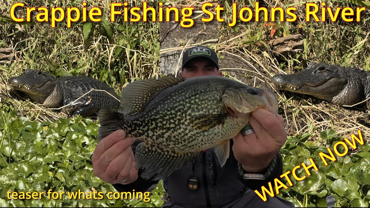 🐊🌍 Ловля Speck Crappie на реке Сент-Джонс | Лучшее место для рыбалки во Флориде 🌍🐊
