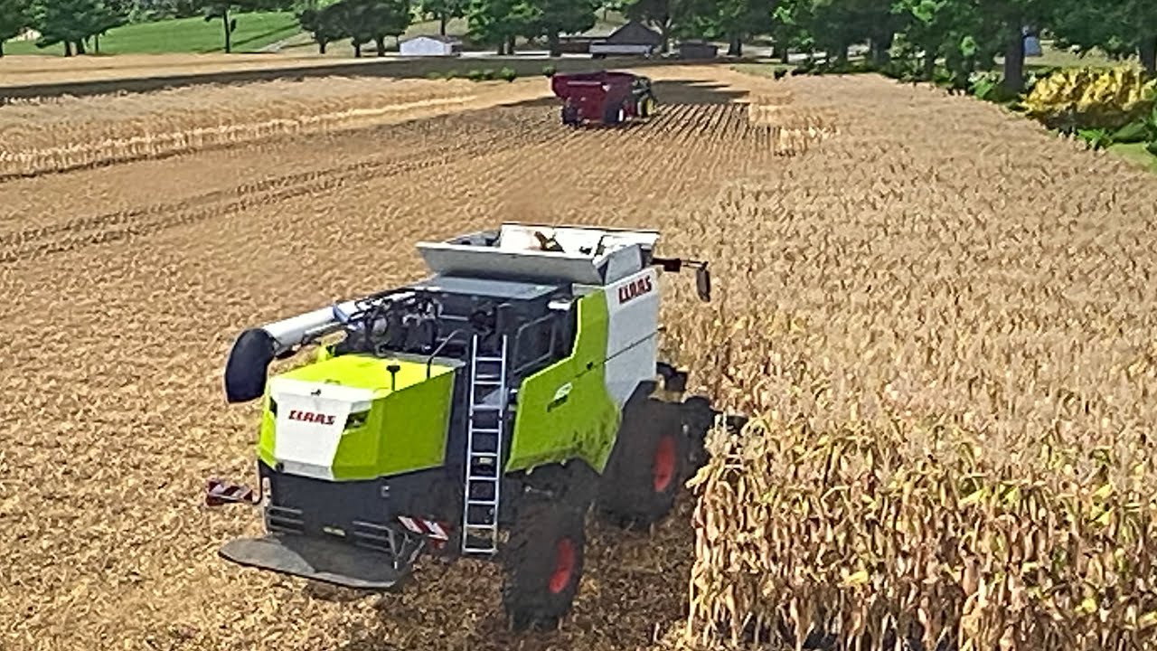Starting corn harvest (EP.1) FS 25