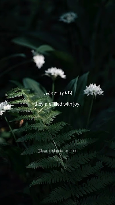 Surah Az-Zumar (39:45) #learn_islamic_trueline #isalamicshorts #surah #quran #shorts  #reels