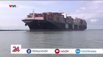 Tăng phí bốc dỡ hàng tại cảng biển | VTV24