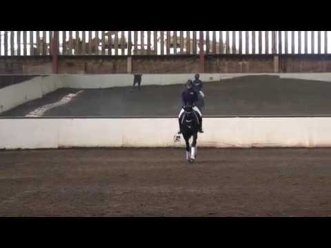 Top tips for top marks - video from Petplan