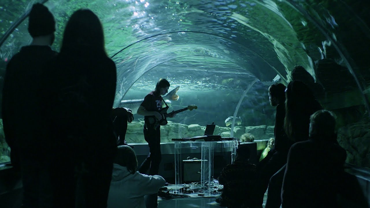 Brokenchord - 'When You Sleep' // 'Transmission' Live