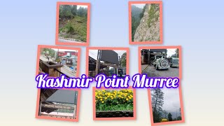 Experience Breathtaking Kashmir Point A Muree Adventure