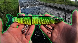 ARE PIKE ...(CANNIBALS)?!?