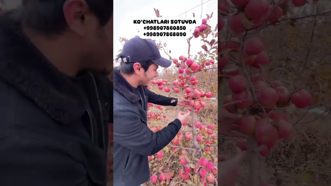 Things That Can Exist By 2050 - YouTube Auto PHP Script