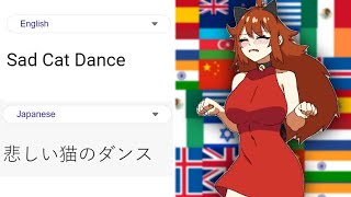 Sad Cat Dance different languages | Google Translate Memes