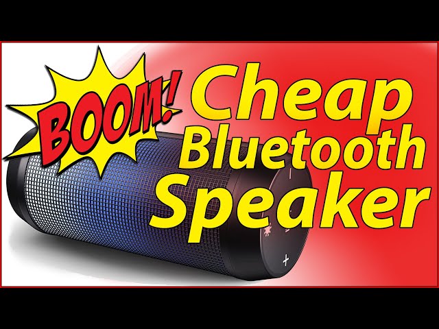 Budget Bluetooth Speaker class=