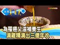 滋補癌父的“薑黃滴雞精”｜芳茲生技｜【台灣真善美】2023.09.17