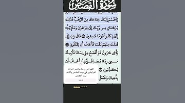 سورة القصص الآية 32 #قرآن #quran #islam #islamicstatus