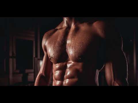 4D Morphic Field: chest muscle growth and development