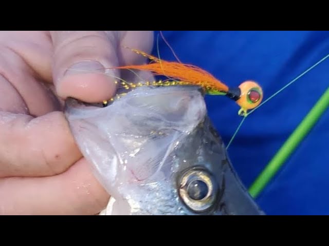 Turkey Feather crappie jigs 