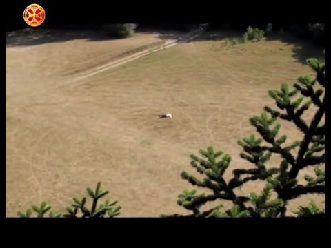 მოკლემეტრაჟიანი ფილმი \"დაბადება\" - პრემიერა