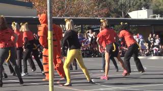 Tam Valley School staff - Halloween -  Eye of Tiger DANCE 2013