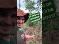 Só pra atualizar #serrural #expandindomundos