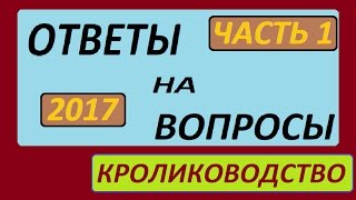 ВОПРОСЫ И ОТВЕТЫ 2017 часть 1