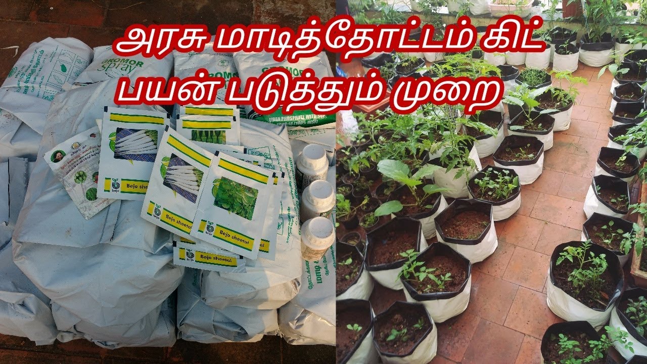 அரசு மாடித்தோட்டம் கிட் பயன்படுத்தும் முறை,Terrace garden kit unboxing