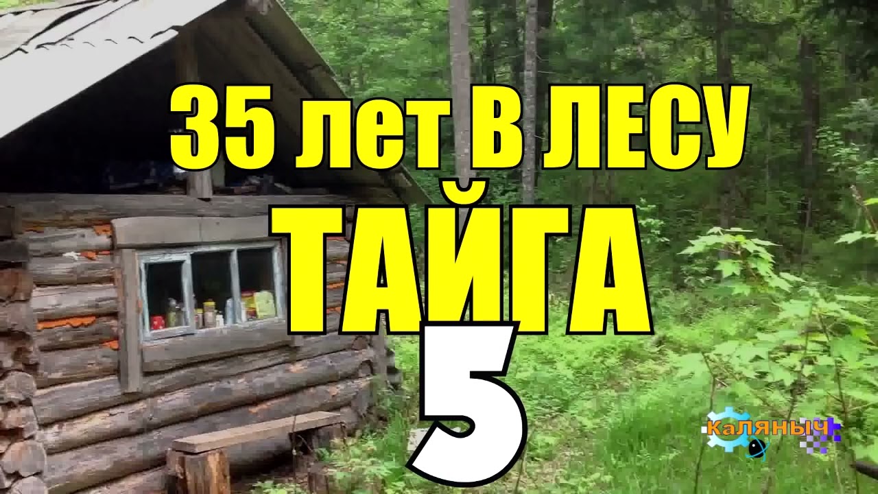 35 ЛЕТ в ТАЙГЕ ВОЛЧЬЯ СТАЯ ЗАБРОСКА НА ВЕРТОЛЁТЕ ДИКИЕ ЖИВОТНЫЕ ВОЛКИ ...