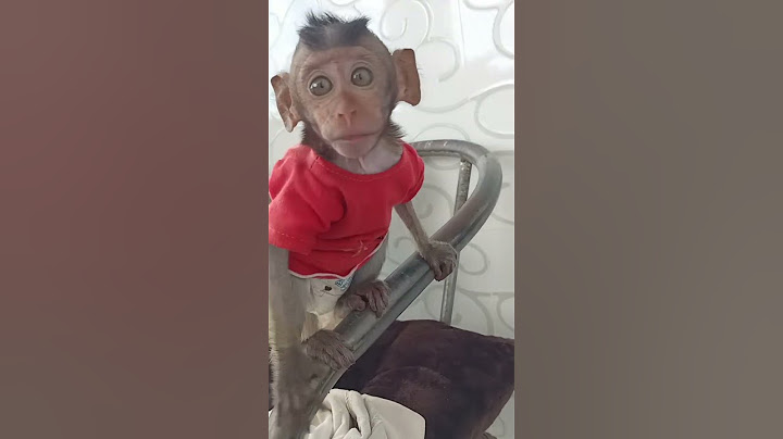 Smart coco baby is playing around house