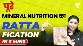 पूरे Mineral Nutrition का Rattafication in 5 Mins | NEET 2023 | Ritu Rattewal