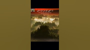تجويد عراقي 🇮🇶مؤثر-نعمة الحسان #قرآن_كريم #تلاوةخاشعة