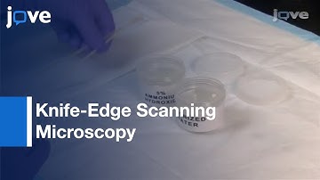 Specimen Preparation, Imaging, & Analysis-Knife-Edge Scanning Microscopy l Protocol Preview