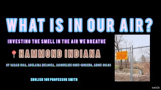 ENG 105 FINAL HAMMOND SANITATIONS