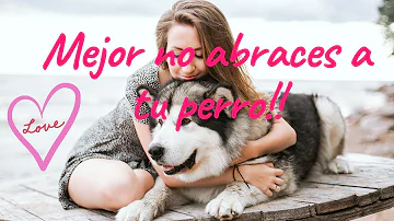 ¿Por qué no es bueno abrazar a tu perro?