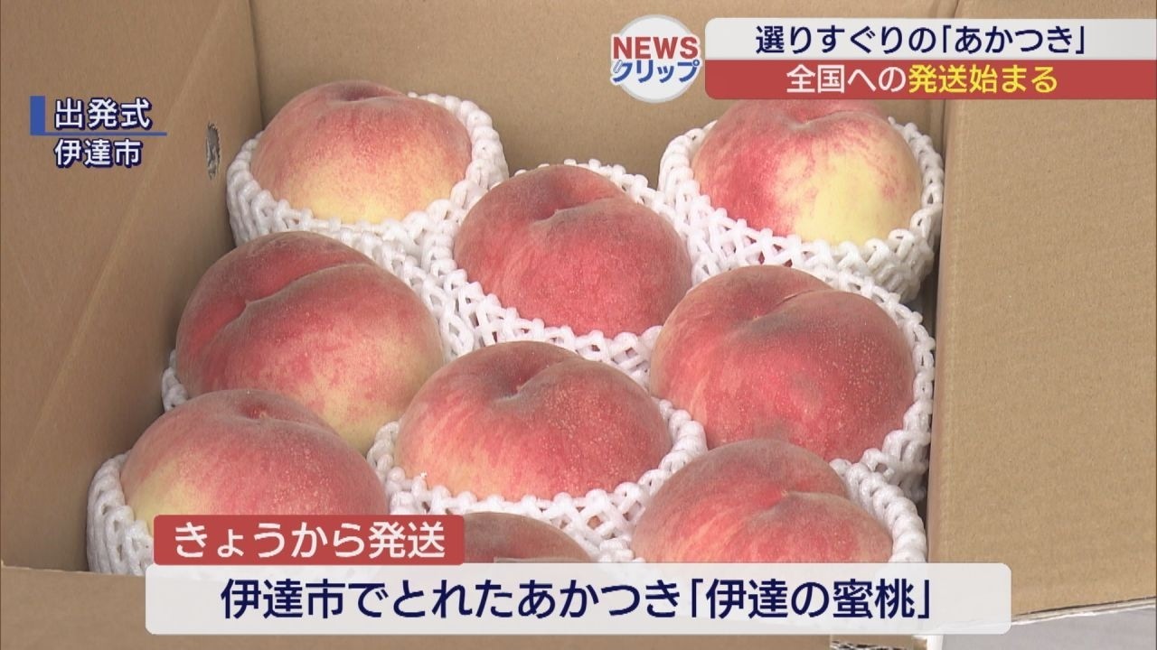 桃 Hometown parcel: First shipment of locally grown peaches departs