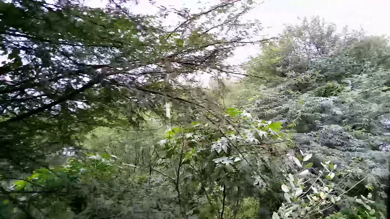Jamari Rivers Jamari river at gingla - YouTube