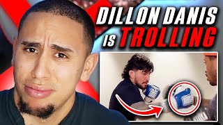 Reacting To Dillon Danis *NEW* Boxing Footage… Is he TROLLING or NOT?