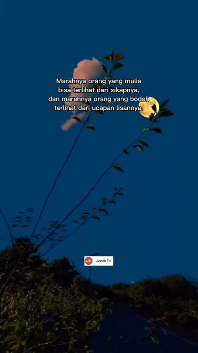STORY WA 30 DETIK || Marahnya orang mulia & Orang Bodoh #shorts