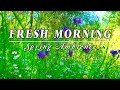 Gentle Breeze ☯ Nature Spring Sounds ~ ASMR Flowery Meadow🍃Birds Singing Morning Ambience Meditation