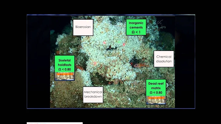 Crumbling Coral: Cold-water Reefs in the Acidic No...