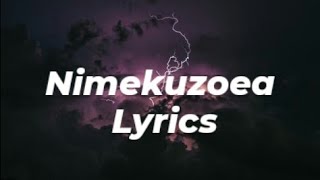 Nandy - Nimekuzoea ( Lyrics )